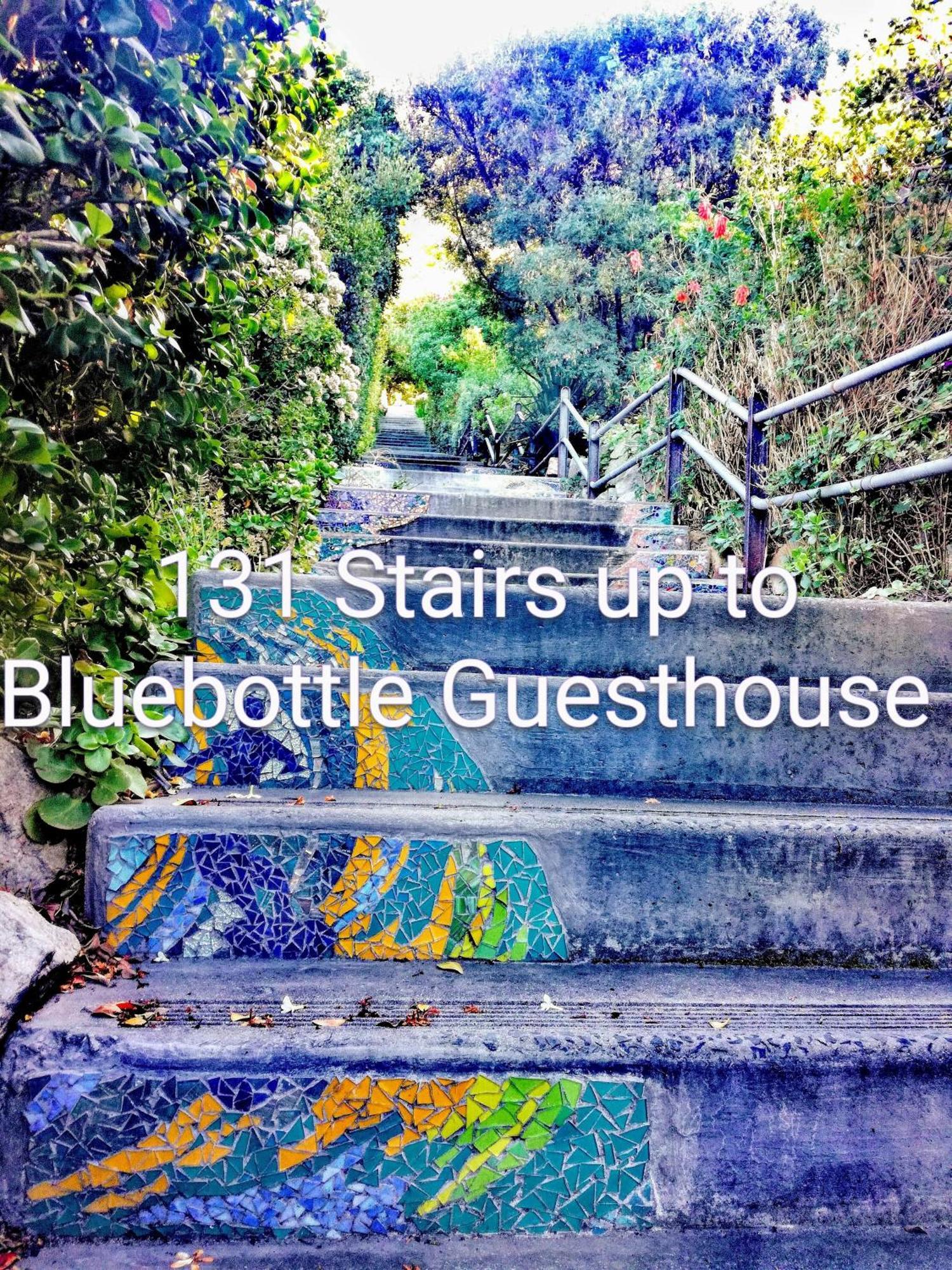 Bluebottle Guesthouse Muizenberg Esterno foto